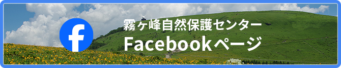 霧ヶ峰自然保護センター 公式facebookへ