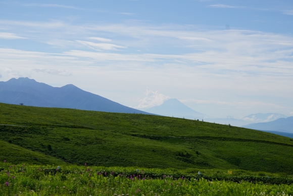 八ヶ岳や富士山が遠くに見え、手前の草原内ではヤナギランなどいろいろな花が咲いている