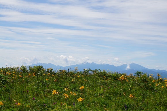 ニッコウキスゲの黄色い花が咲く草原の向こうに山々が見える