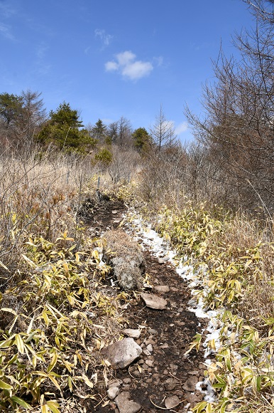 地面が見えている登山道