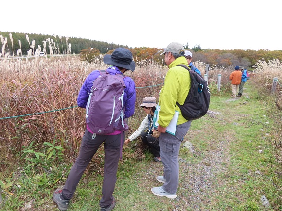 屋外で植物の話をしている様子